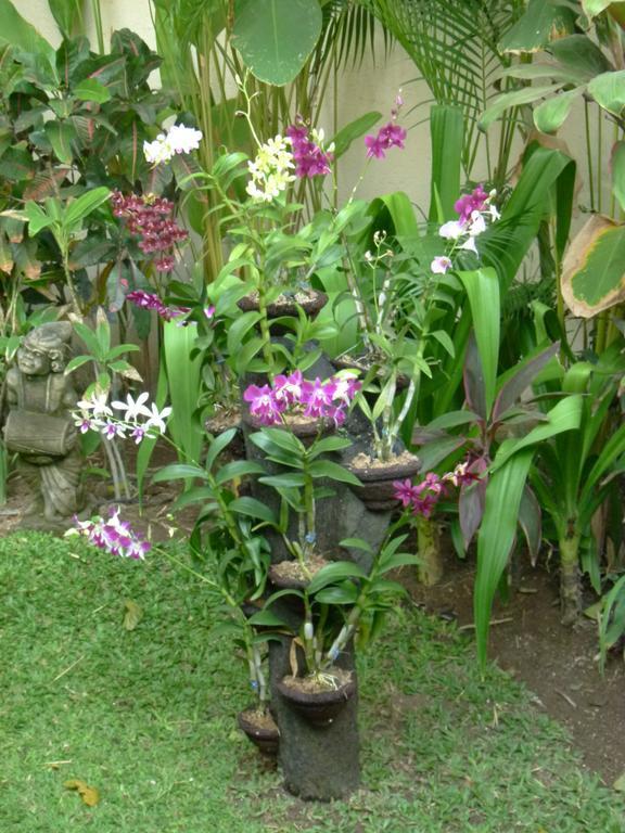 Villa Sipo Seminyak Oda fotoğraf